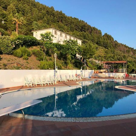 Hotel Residenza Del Golfo 普拉亚·阿马勒 外观 照片